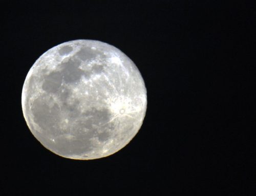 Julho tem chuva de meteoros e Lua dos Cervos