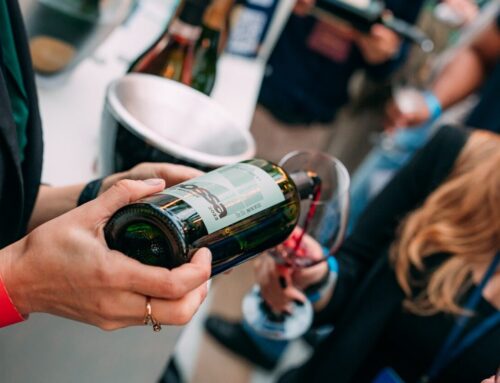 Wine Day 2024 terá 4 horas de degustação e 100 rótulos de vinhos nacionais e internacionais
