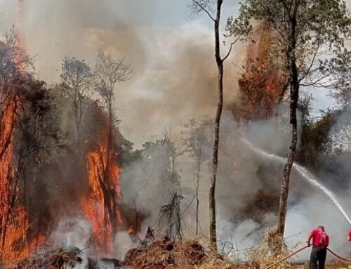 Caiado cobra mais ações para combater incêndios. Ministro Dino estabelece orçamento de emergência