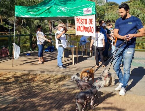 Goiânia inicia Campanha de Vacinação Antirrábica neste sábado, 14