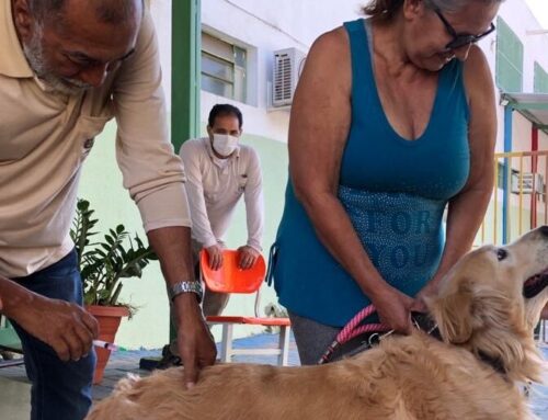 Goiânia realiza segunda etapa da vacinação antirrábica neste sábado, 21