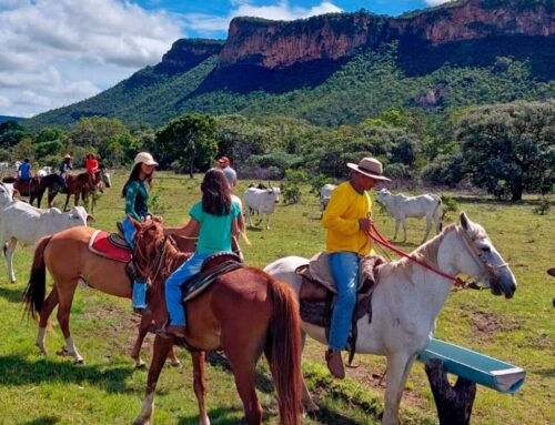 Nova Lei Geral do Turismo deve impulsionar setor em Goiás