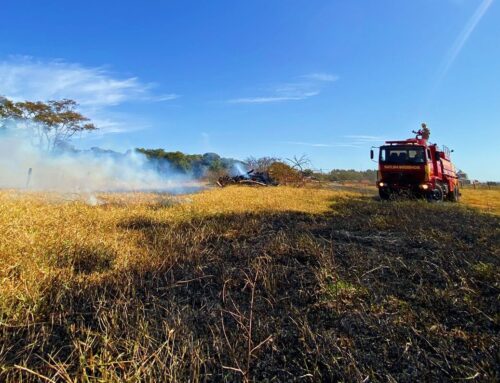 Goiás intensifica monitoramento de queimadas em áreas agrícola