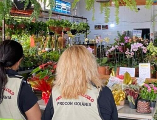 Dia de Finados: Preços de flores variam até 235% em Goiânia