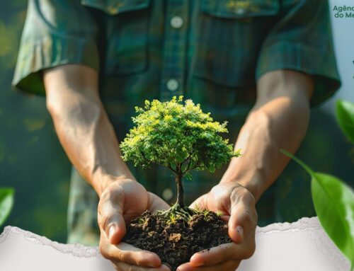 ArborizaGyn planta 50 mil mudas de árvores no Residencial Três Marias, na sexta-feira, 8