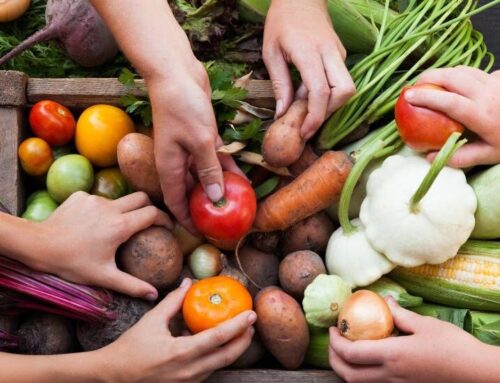 Goiânia formaliza adesão ao Sistema Nacional de Segurança Alimentar e Nutricional